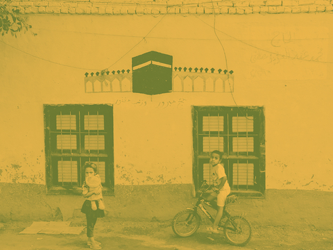 الصندوق في مصر